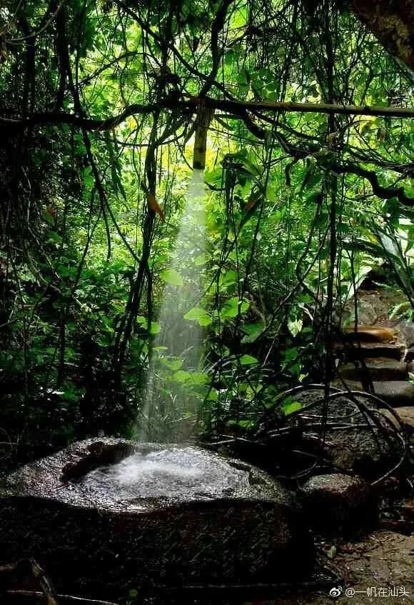 蚂蝗为什么被称为吸血鬼,山蚂蝗的惊悚故事