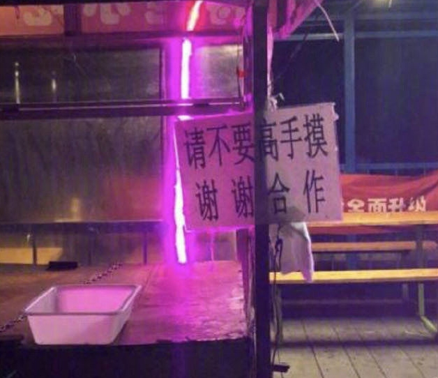 播种一棵树收获一片森林,播种一粒种子收获一份希望