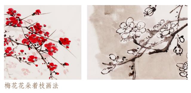 姊呰姳鍥界敾鐢绘硶鐩存挱,姊呰姳鍥界敾鍎跨鍏ラ棬