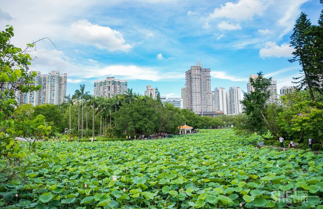 疫情期间免费开放的公园,疫情期间开放的公园有哪些