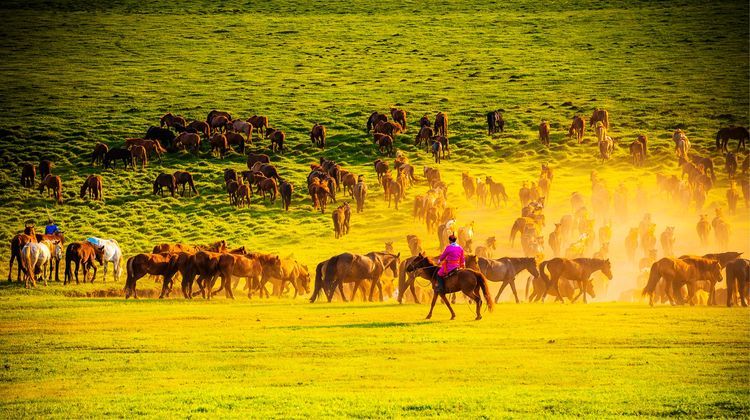国际旅游摄影作品欣赏,国际旅游摄影官网