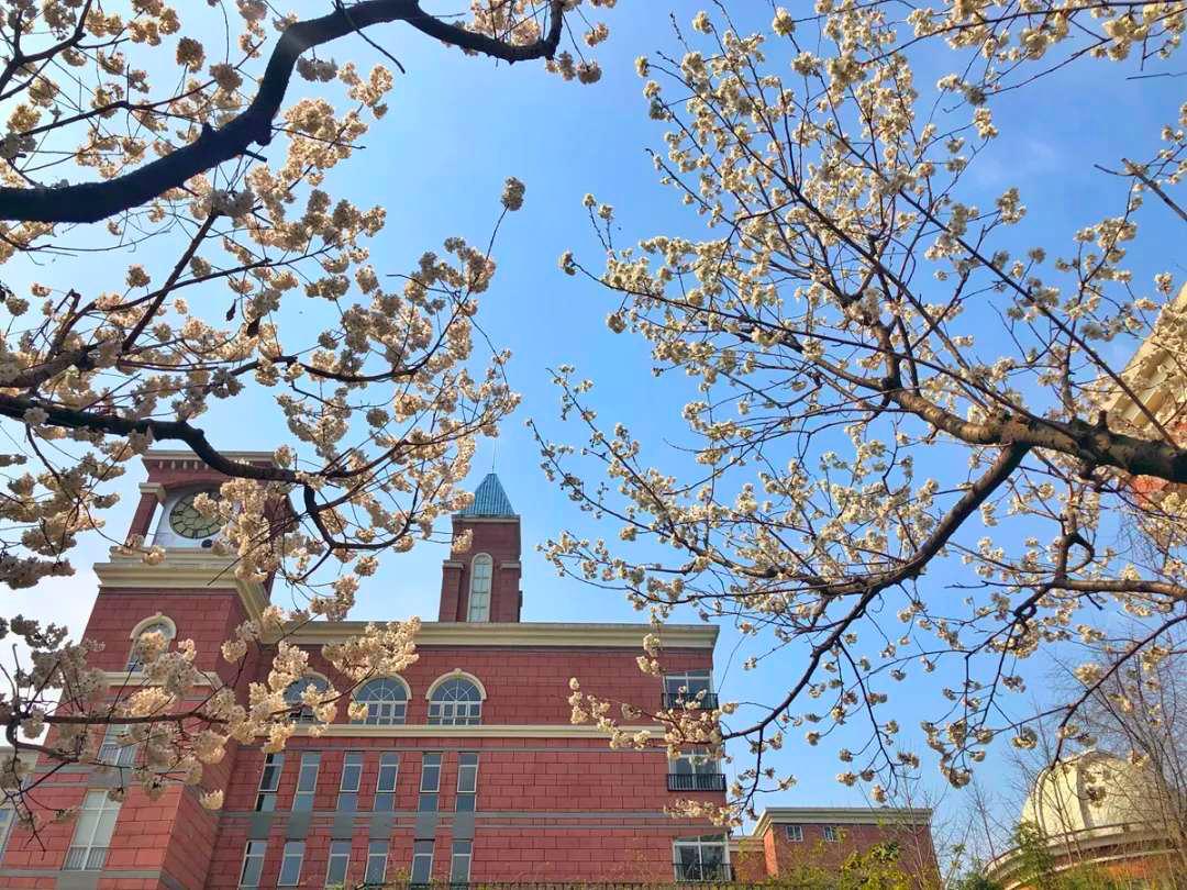 成都五朵金花小学学区房,成都五朵金花的分校教学质量