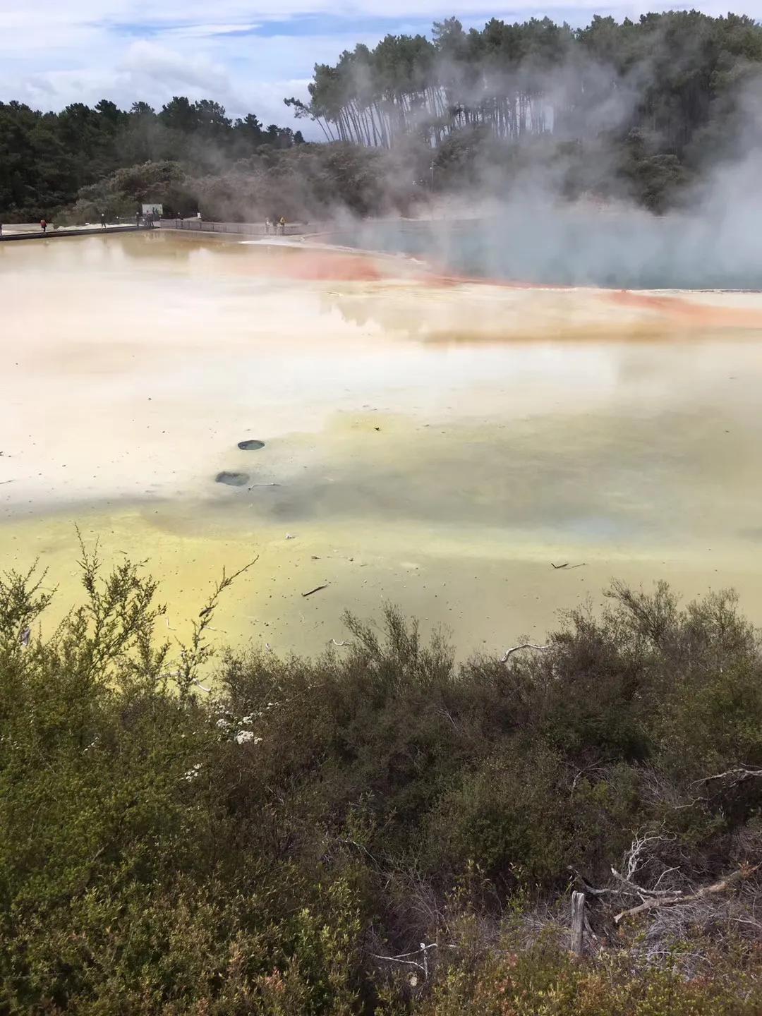 记忆中的旅行之新西兰(北岛)
