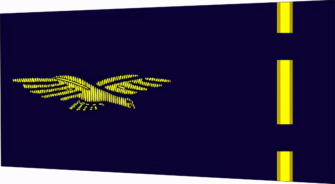 法国将军军衔等级,法国上校是什么军衔