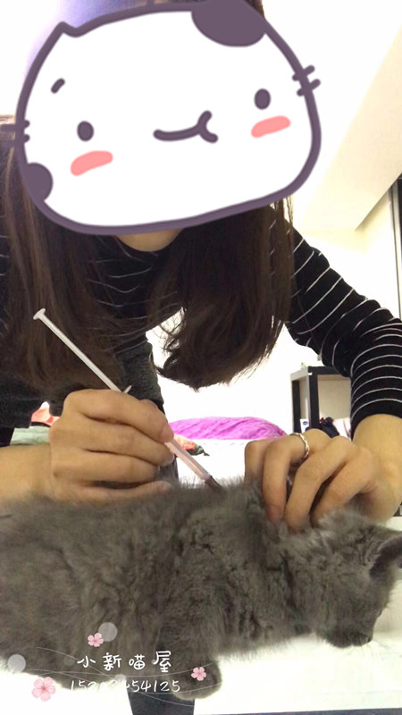 怎么防买到星期猫,如何避免在市场买到星期猫