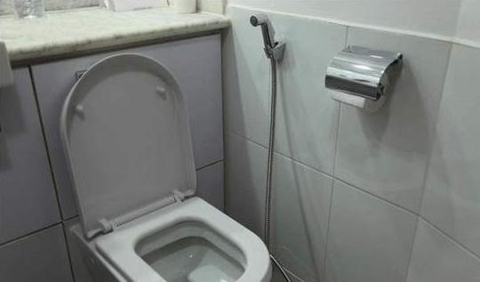 会洗屁股的智能马桶,四季通用可水洗马桶盖