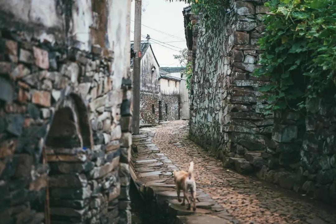 宁海属于中高风险吗,宁海潜力