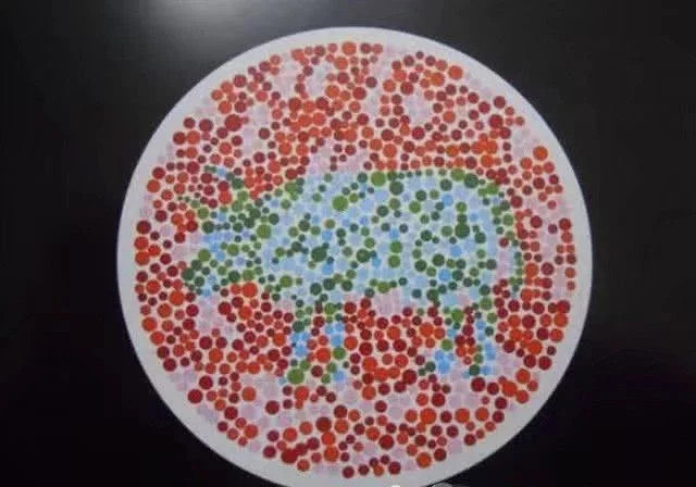 车管所盛行的三张色盲检测图,最后一张认不出,找教练也没用