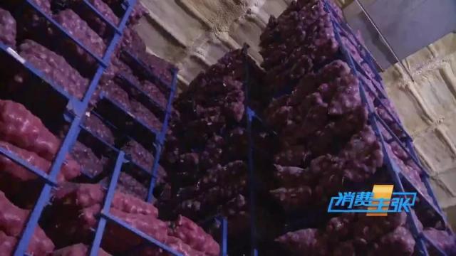 洋葱价格及出口情况,全国各地洋葱产地批发价格