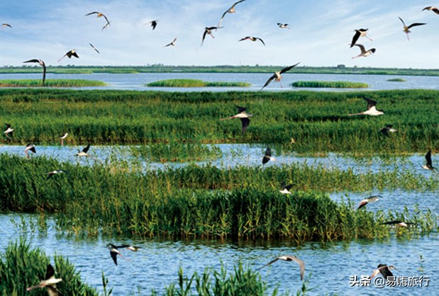 易嗨旅行带您天津宁河-芦台板桥休闲踏春游