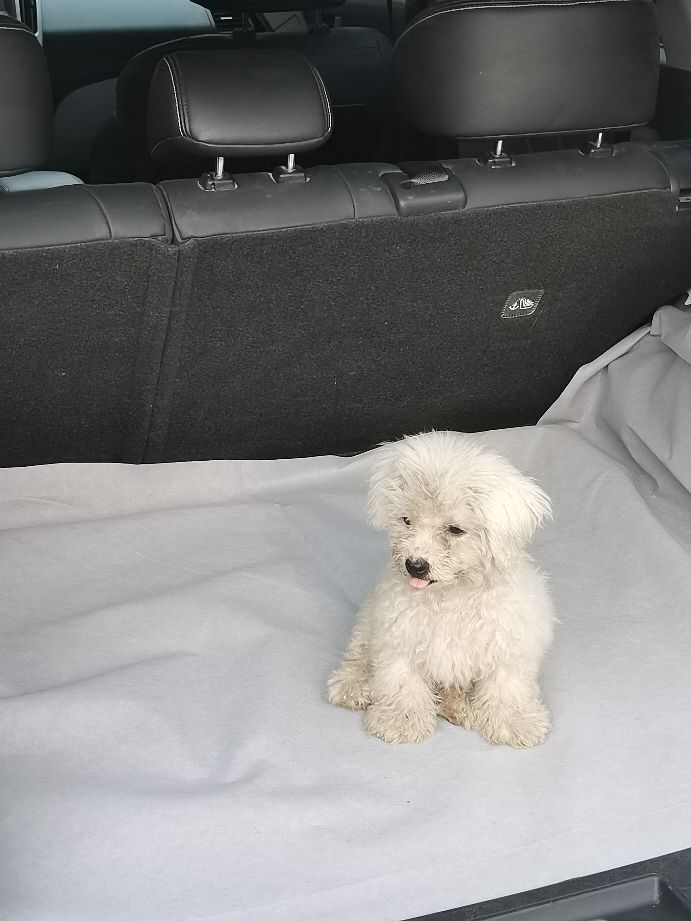 纳智捷u6油耗实际多少,纳智捷u6油耗高的真正原因