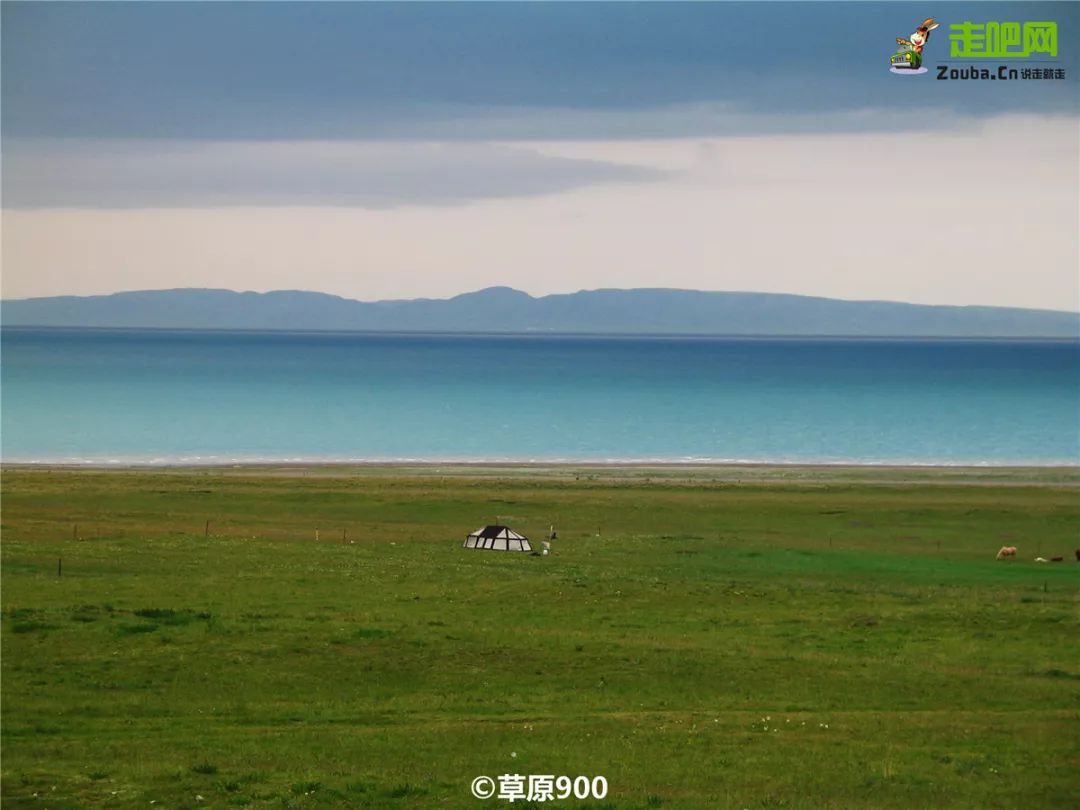 这条最“咸”最彩的公路,治好了我*藏西**的病,解掉了我*疆新**的毒