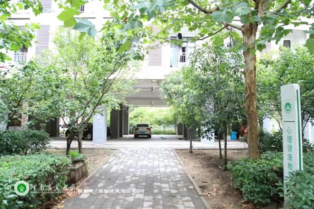 优微推荐|龙子湖“导航”第二期来啦