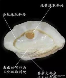 贝壳手工珠宝首饰,贝壳类珠宝首饰