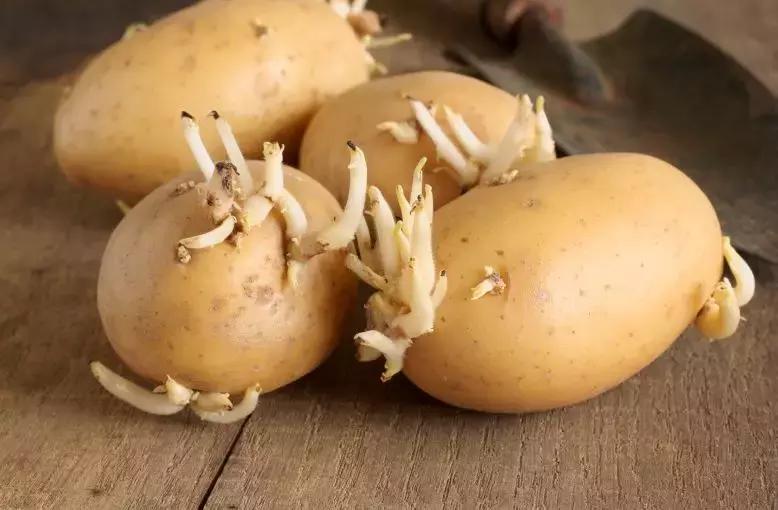 裤子反着晒还是正着晒,裤子是正着晒还是反着晒比较好