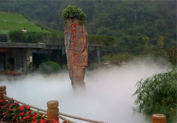 新春打卡重庆香水百合网红艺术节,坐小火车、玩玻璃滑道...