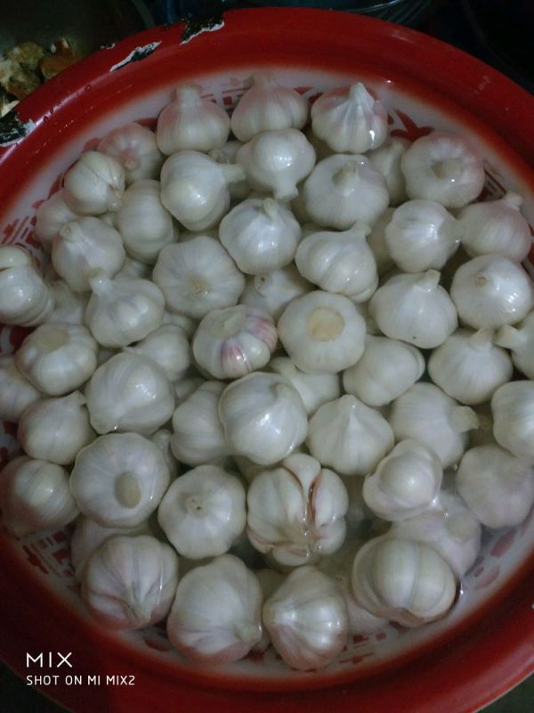 泡糖蒜的视频,泡糖蒜的最佳比例