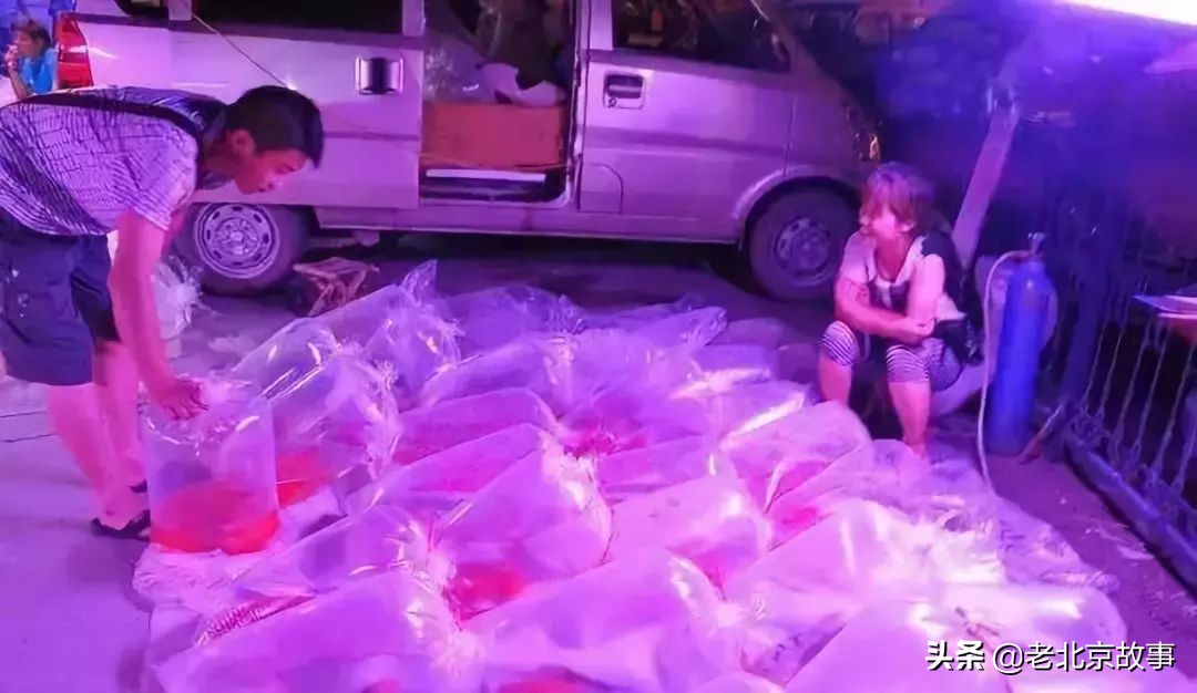 北京国庆节有没有集市,北京国庆假期逛大集