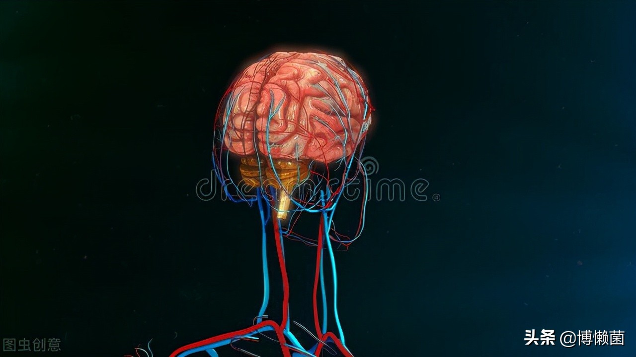 几个关于梦的知识:梦到底是什么?它是如何产生的?它是否有意义