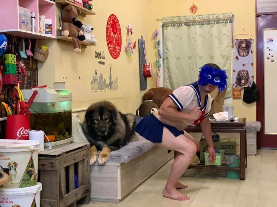 捡了一只流浪狗黑色泰迪,捡到一只流浪雪纳瑞