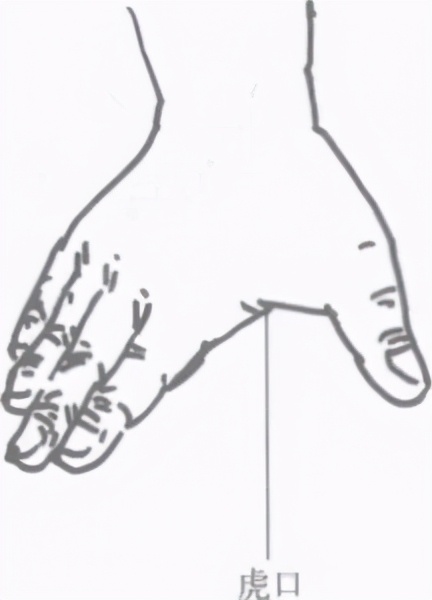 中国擒拿术擒拿十八法全教程,擒拿术基本功训练