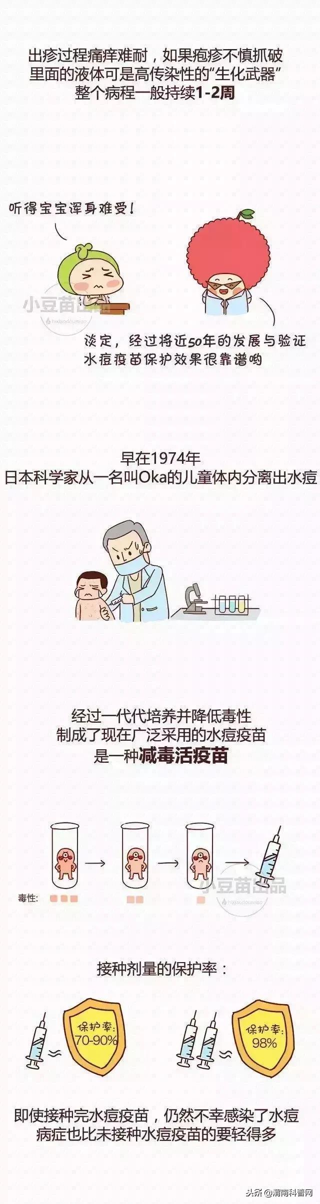 水痘基本知识图解,学校水痘的防控措施