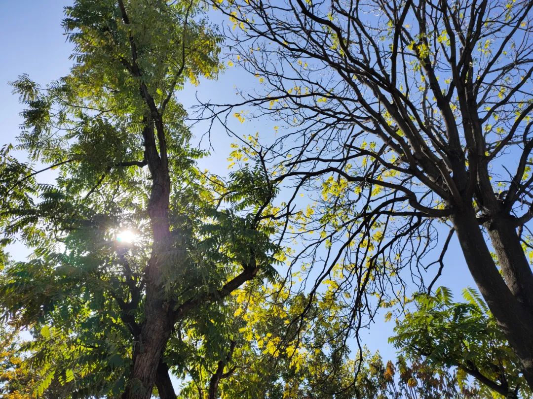 天坛公园周边,天坛旁边的公园