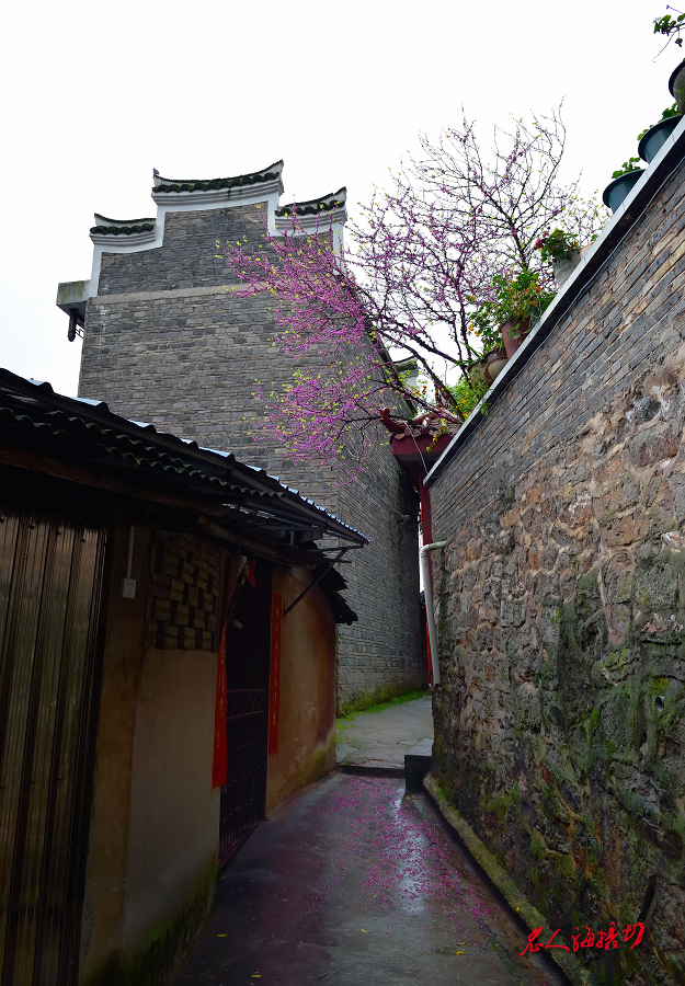 贵州黔东南镇远古镇旅游攻略,黔东南镇远古城一日游