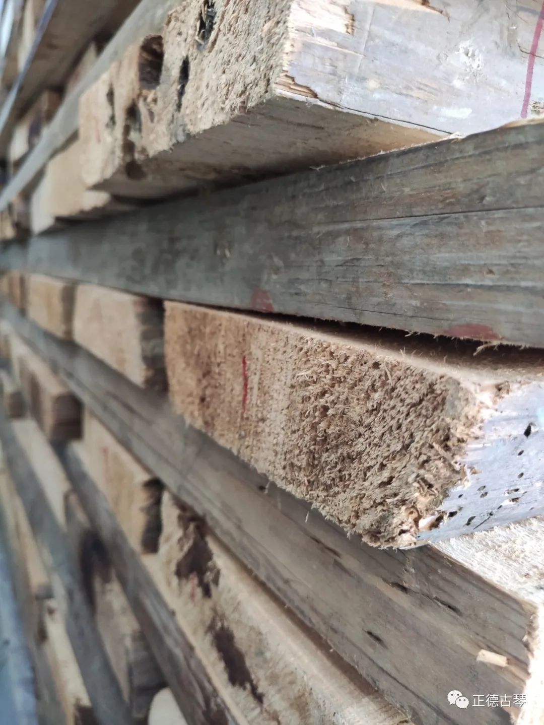 沈阳古琴社,长春古琴社