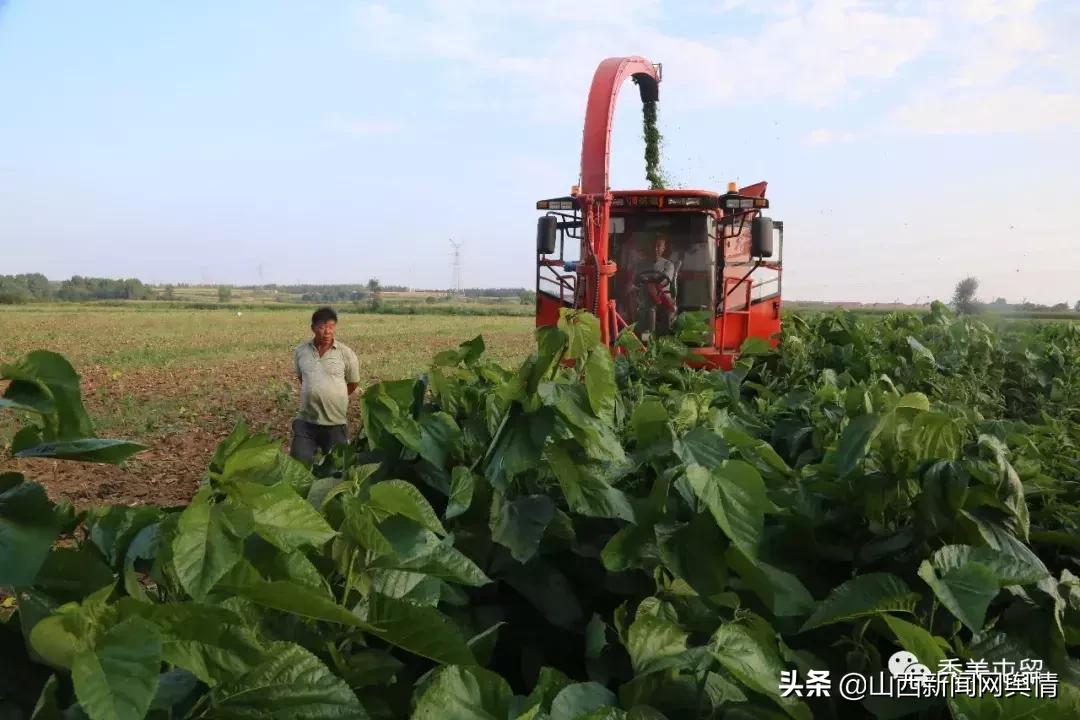屯留区未来城市发展方向,屯留城区发展方向