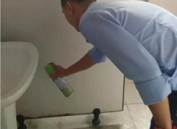 卫生间里黑色细长的虫子是什么虫,厨房卫生间有白色虫子是什么原因