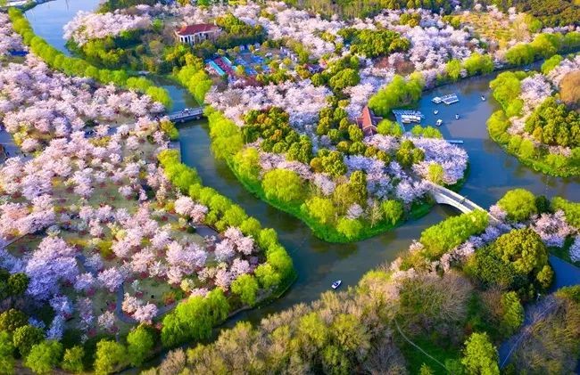 上海30家“休闲好去处”:一半以上都免费,够玩一整年