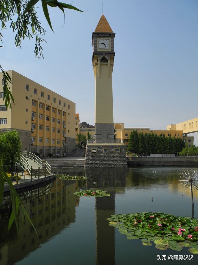 青岛二中2019高考成绩,经验分享大学专业