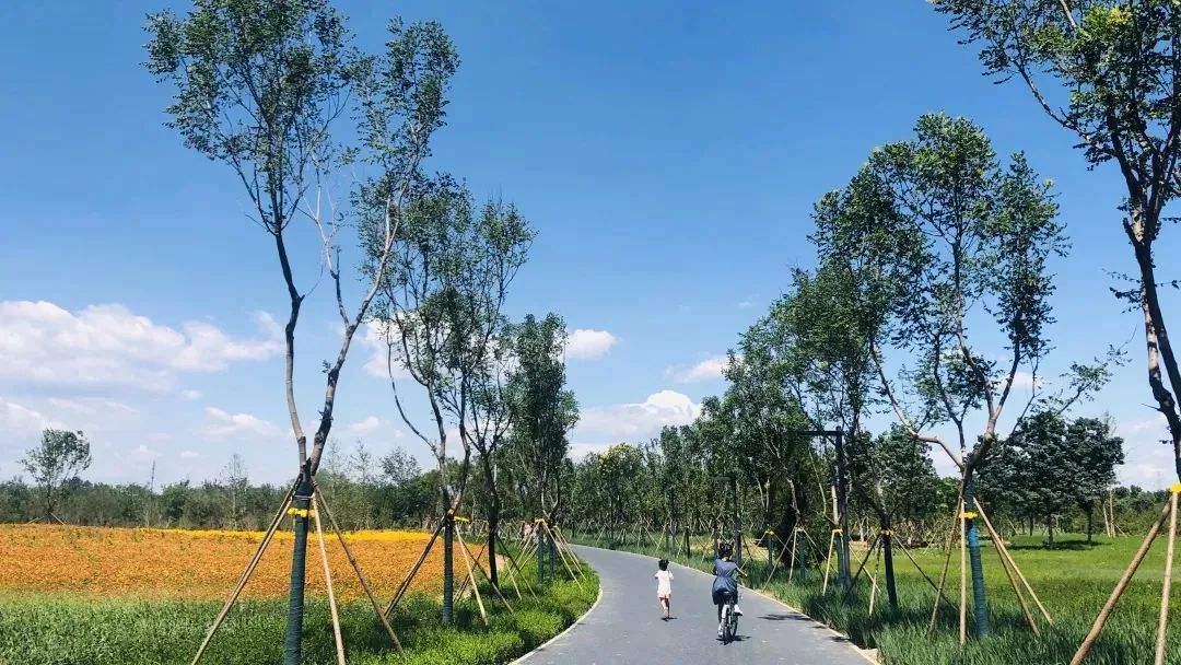 去看万紫千红的花海,五一近郊赏花去看缤纷七彩花田