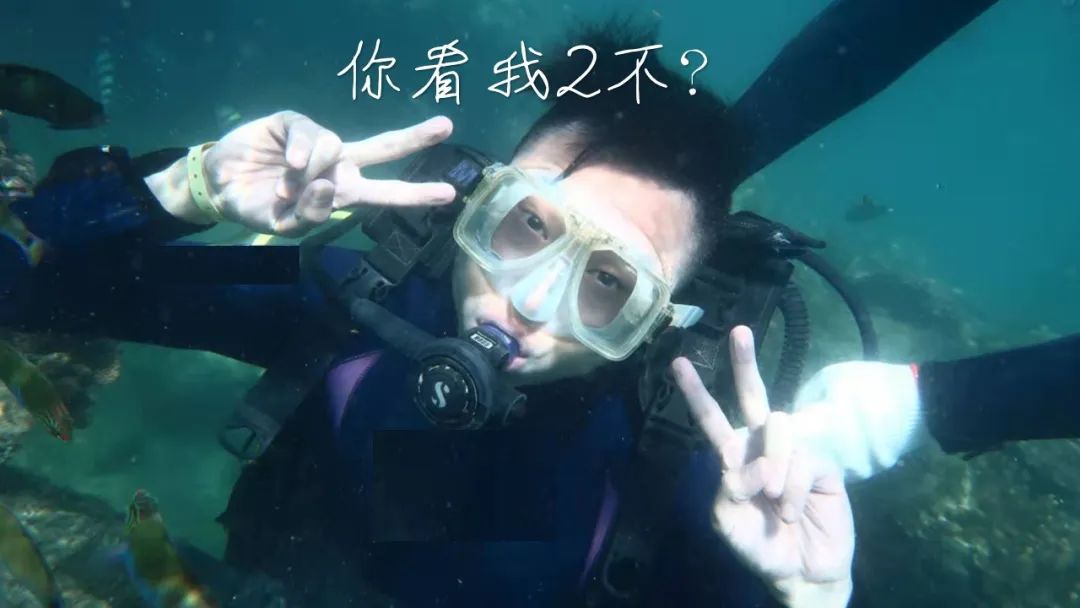 旅行一礼拜要花多少钱,自由行旅行避坑攻略