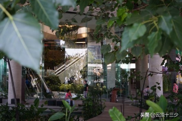 泰国甲米旅游攻略自由行,泰国曼谷甲米六日游攻略