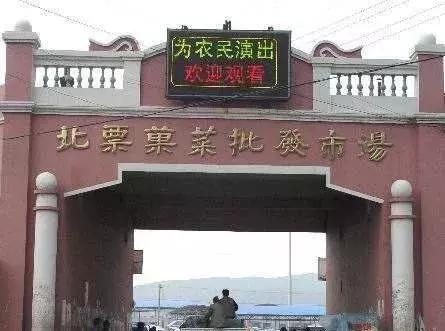 中国蔬菜批发市场大全,邓州菜农蔬菜批发市场在哪里