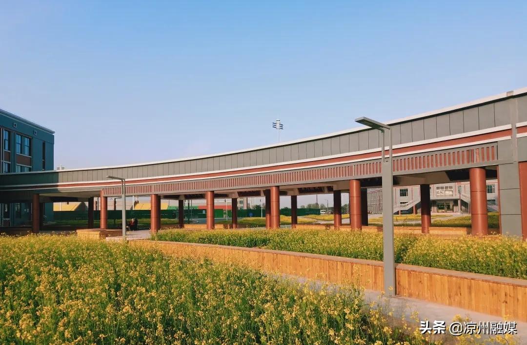 武威六中录取名单2021初中,武威第六中学体考