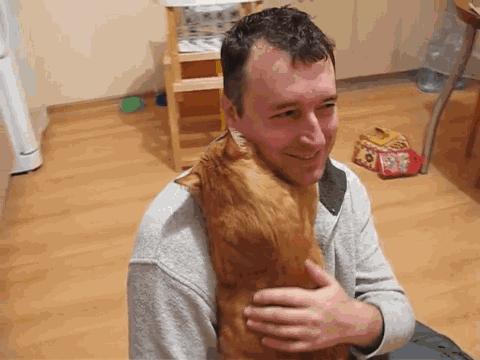 猫咪怎样才会放下戒备,猫咪应该怎样抱才不会乱跑