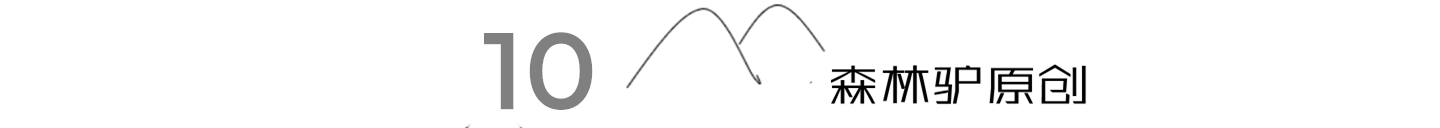 广西桉树之谜,广西摇钱树桉树