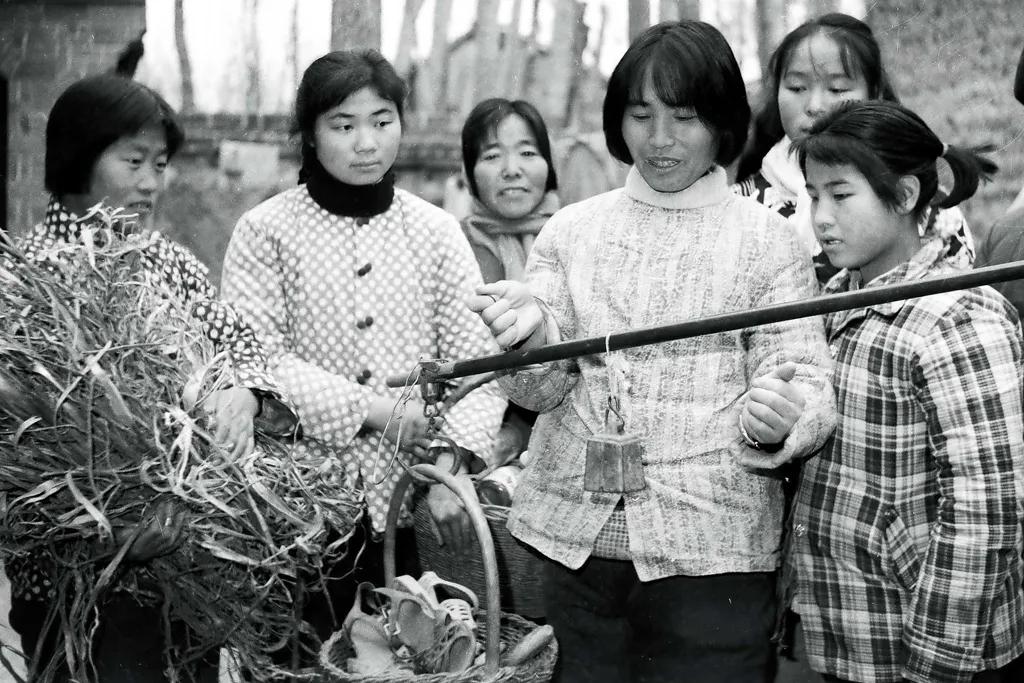 致富经垃圾堆里的商机,垃圾堆里的财富