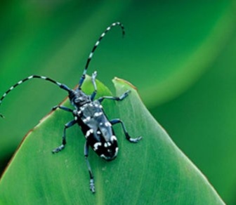 小时候的夏天农村夜晚,儿时夏天的记忆