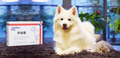 狗狗得了真菌用什么药,狗狗得了真菌用什么药效果好