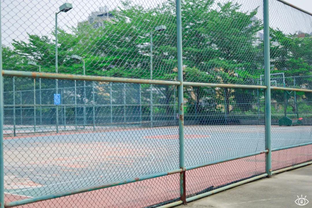 深圳宝藏公园风景图片,深圳宝藏自然游乐区