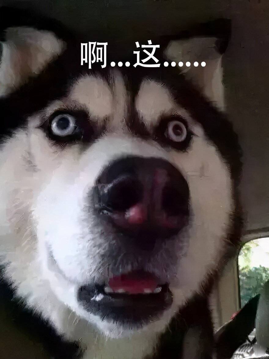 双门洞的圣诞攻略,双门洞圣诞节脱单攻略