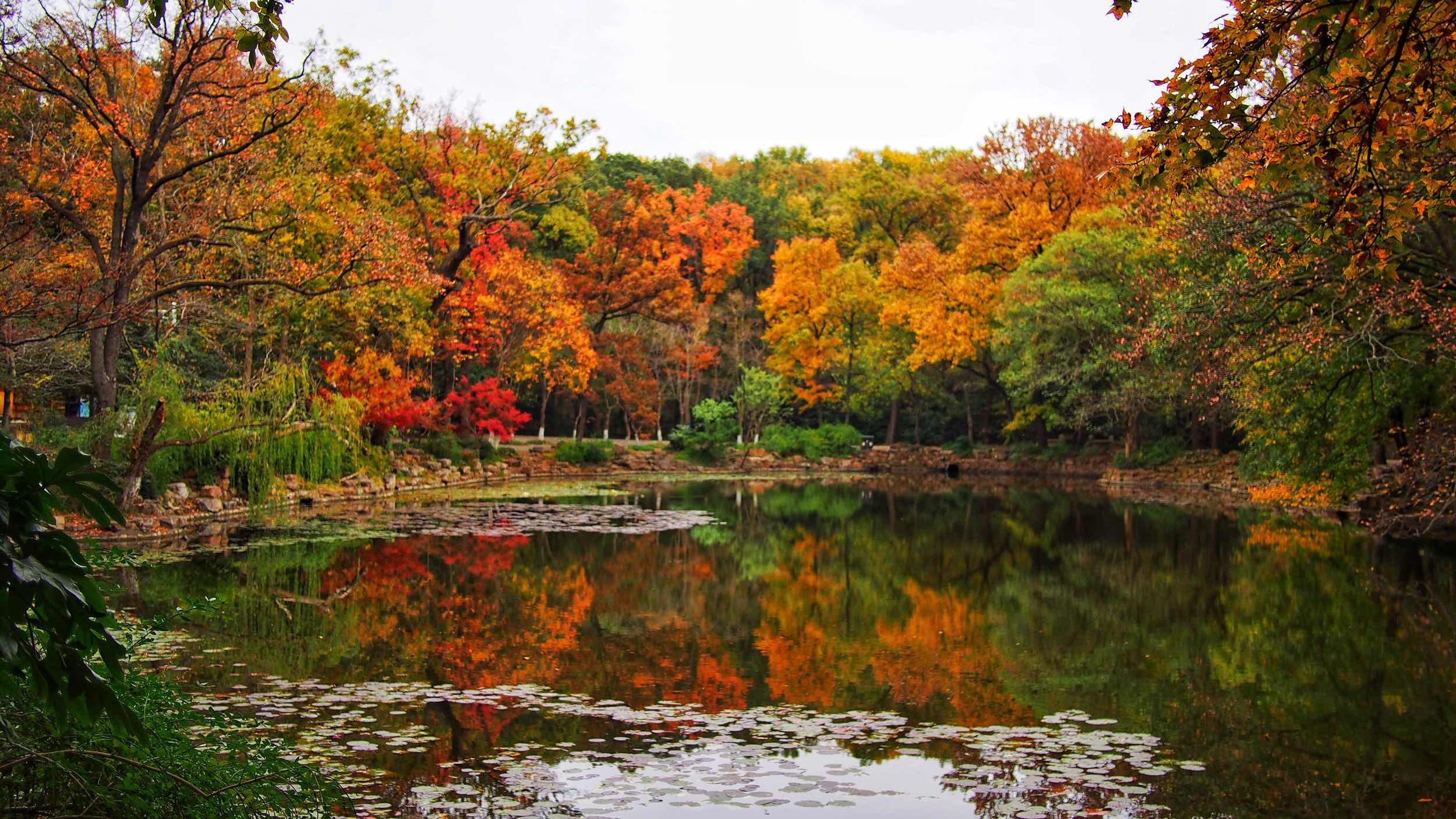 南京人气最高的3大寺庙，历史悠久，风景优美，是赏秋静心好去处