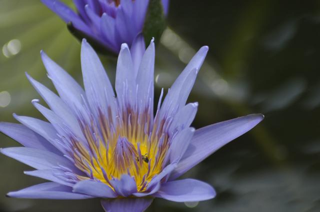 如何快速长头发,怎么样快速长头发