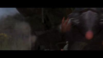 米其林老鼠,在米其林餐厅吃饭