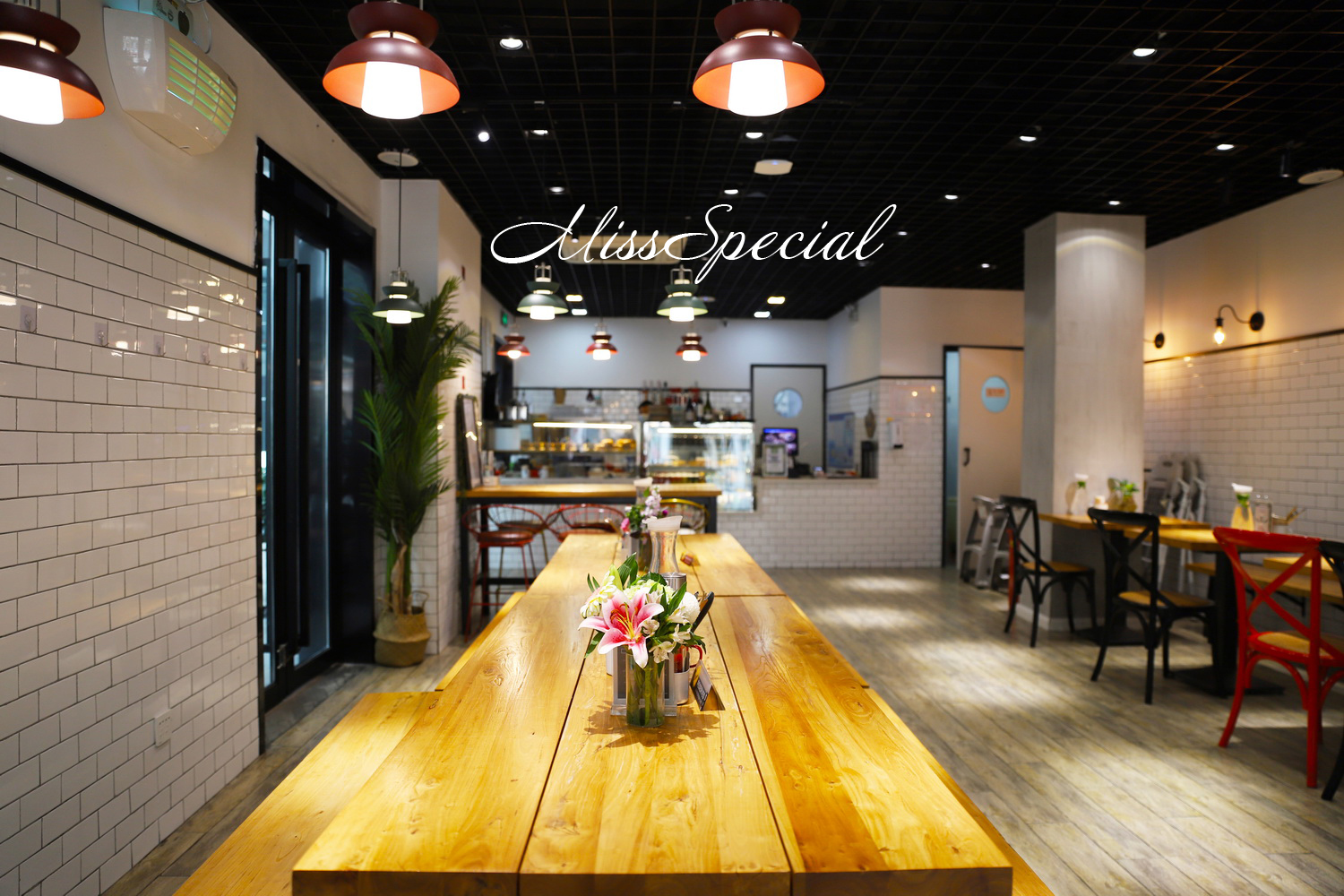 植物种出来的鸡蛋,植物蛋