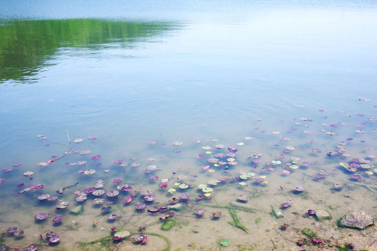 农村水质差不方便装净水器怎么办,净水机可以改善农村饮用水吗